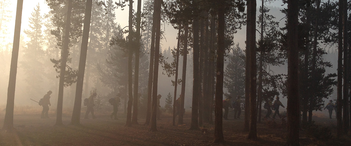 crew walking through smokey forest